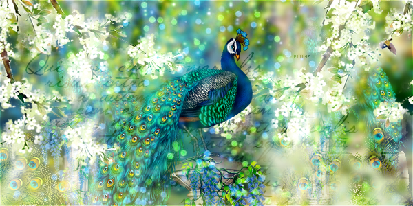 serenitatem, par Plume`