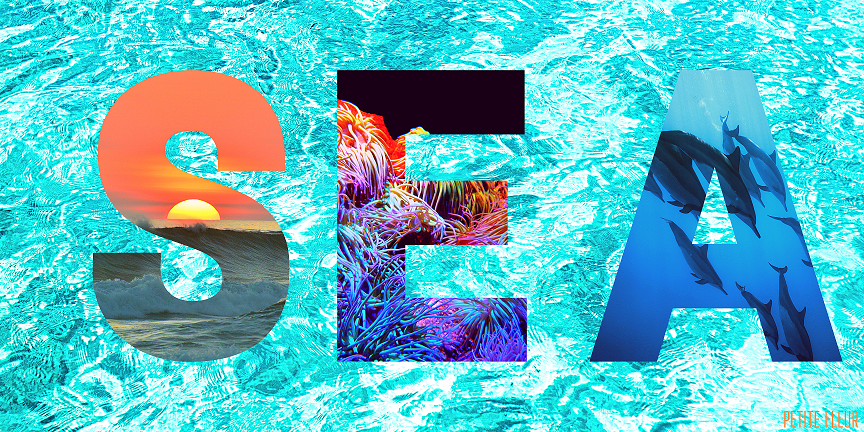 SEA, par Petite Fleur