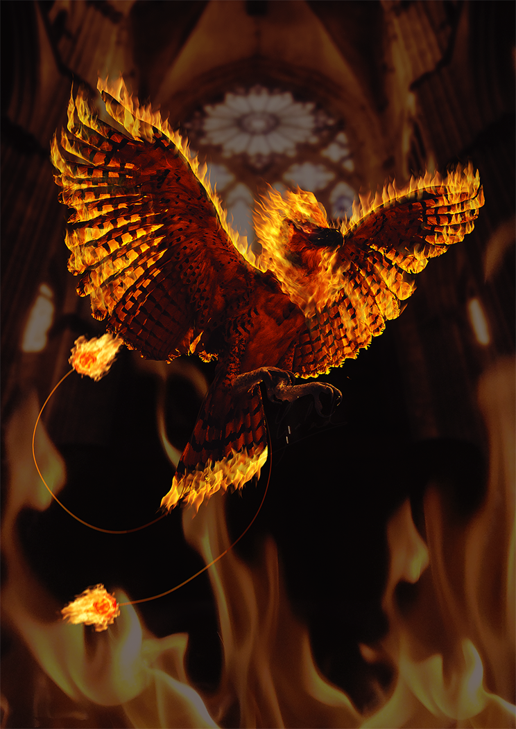 Phoenix, par Galad-El