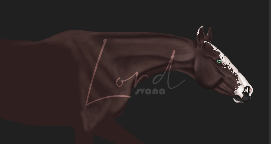 [ WIP ] Appaloosa, par Svana