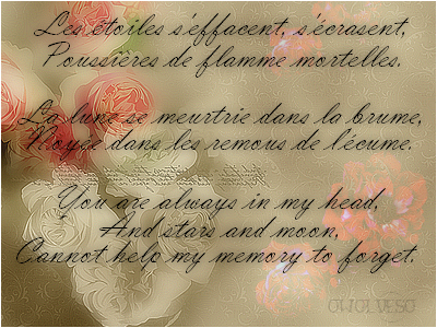 Stars and Moon, par Lady