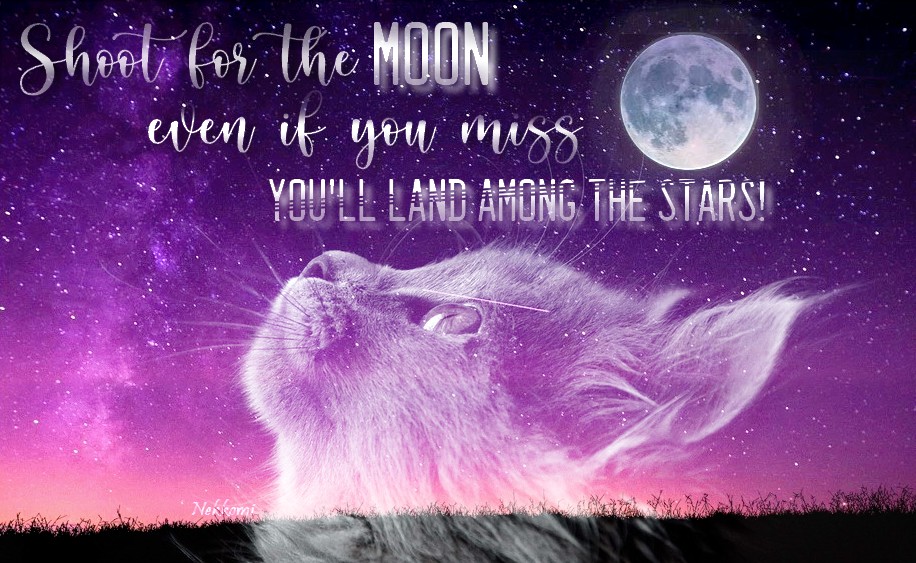 Shoot for the moon!, par Nekkomi