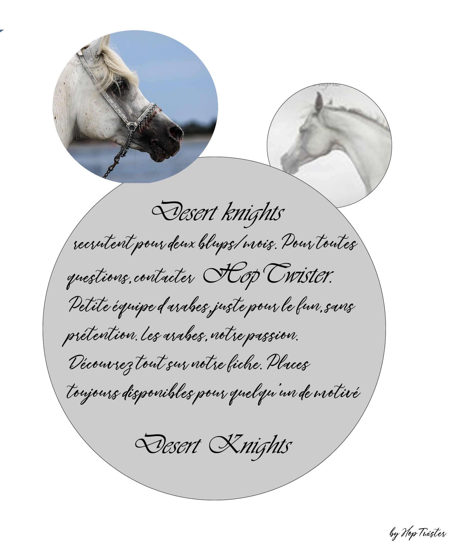 desert knights, par Invoqueuse