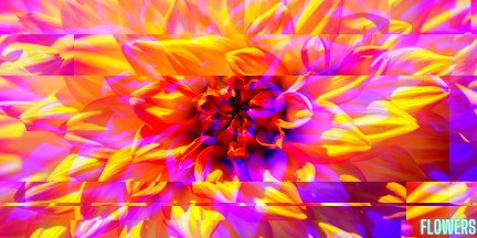 Flower Of Summer, par Flowers