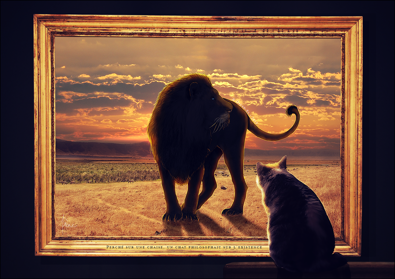 Un chat qui rêvait..., par Galad-El