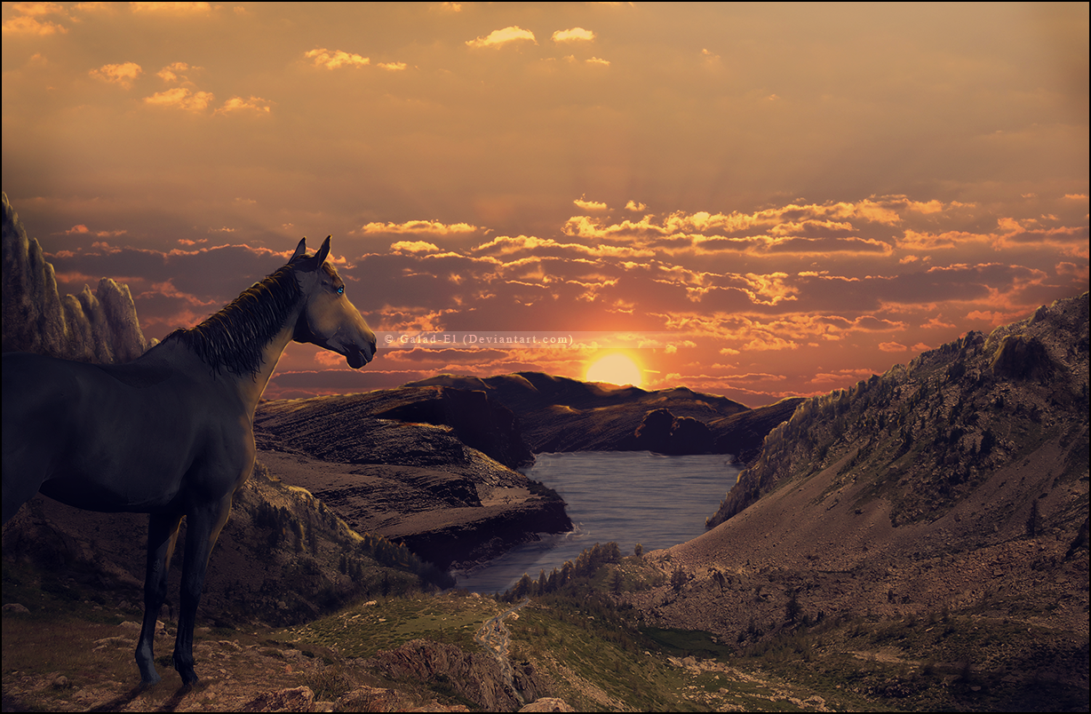 Un nouveau jour se lève, par Galad-El