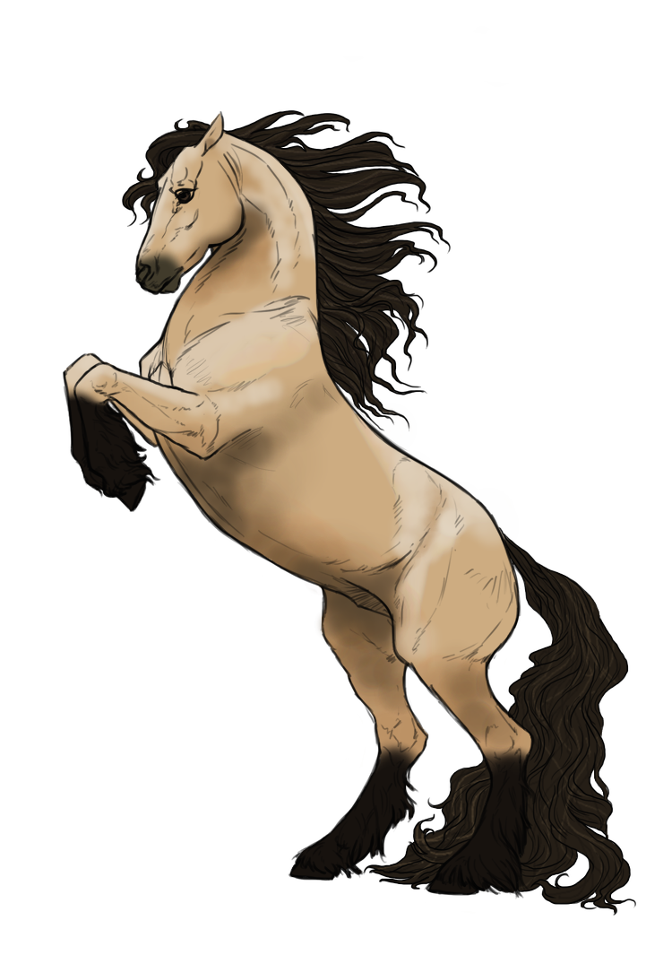 Wild & Free, par Aadelrun