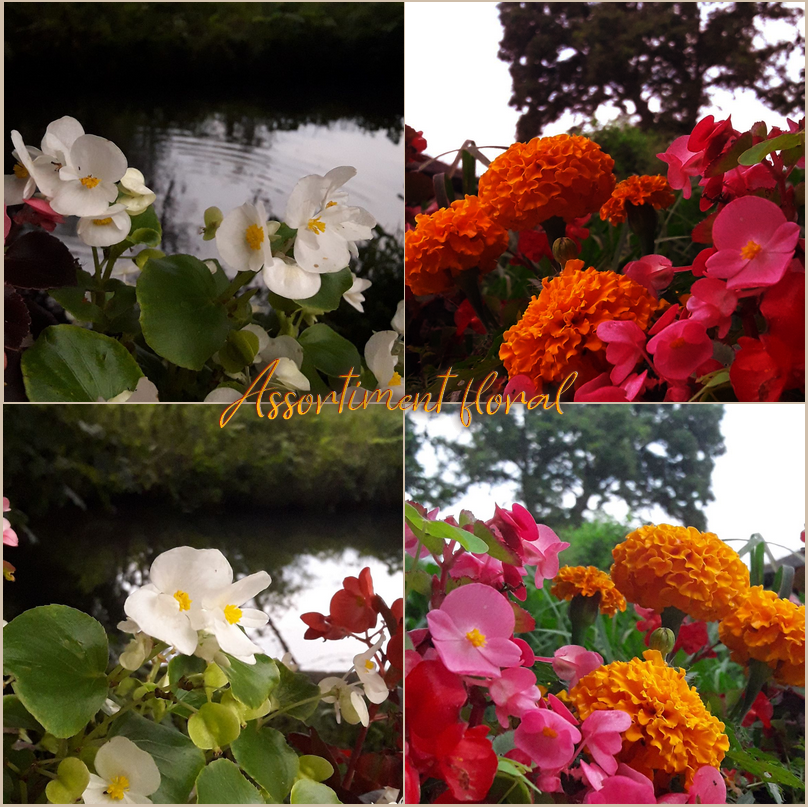 Assortiment floral, par Zukki