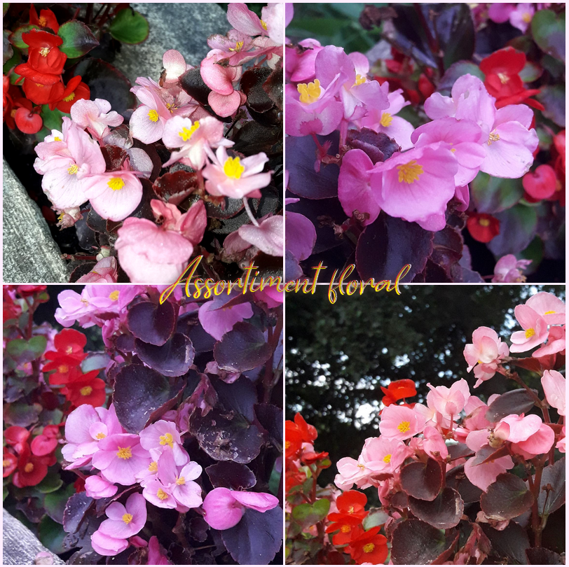 Assortiment floral (2), par Zukki