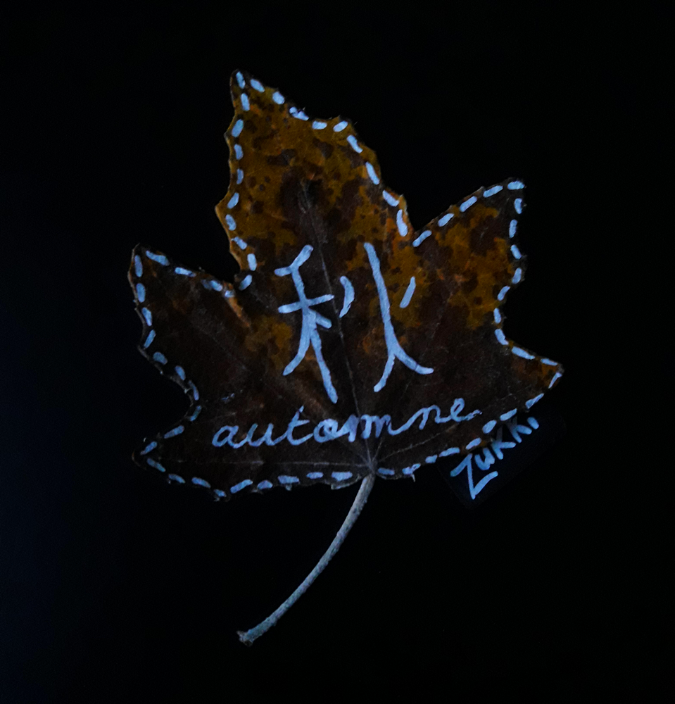 Du feuillage au feuillart, par Zukki