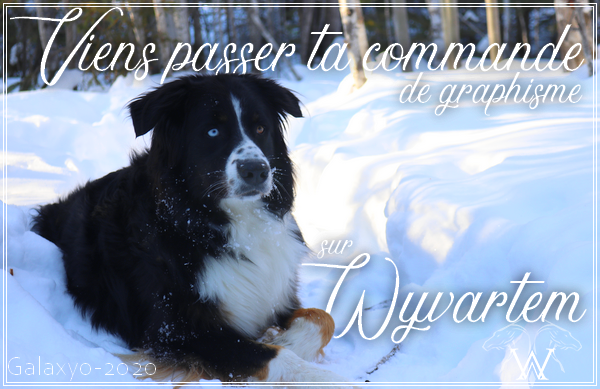 L'hiver, par Galaxyo