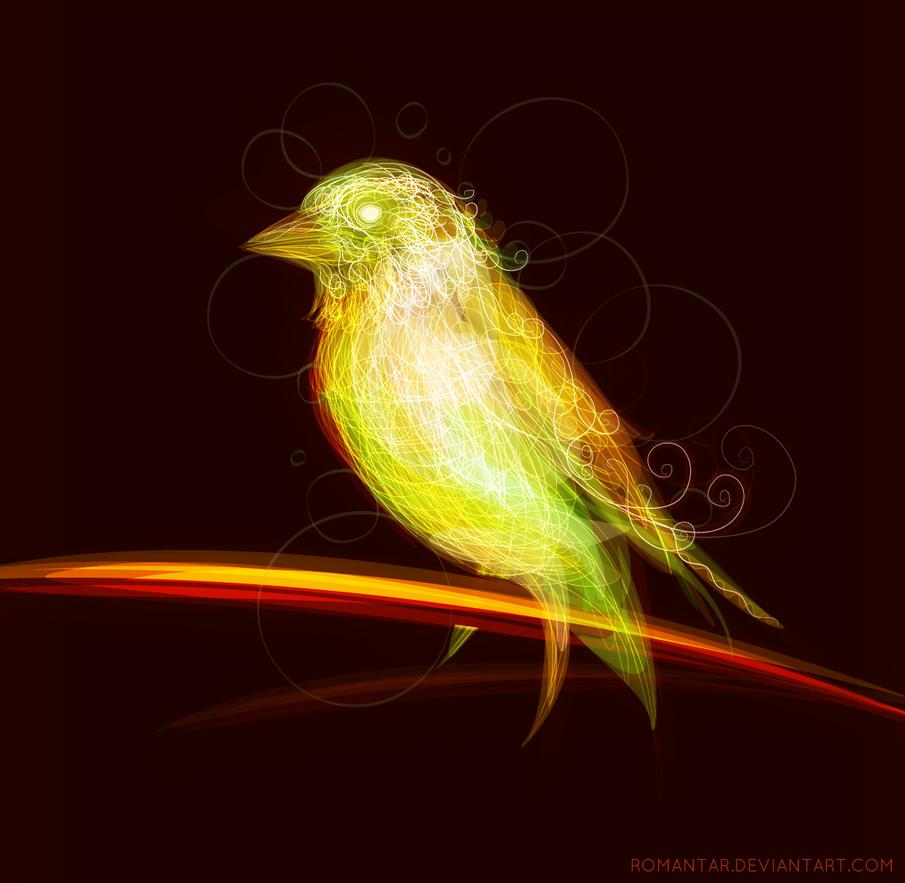 Bird line, par Roman'