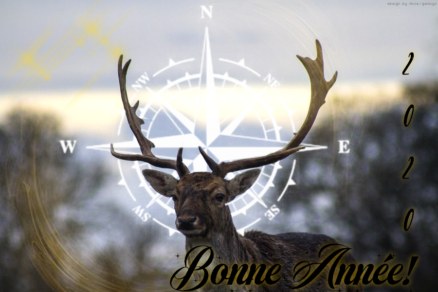 Bonne année!, par Galaxyo