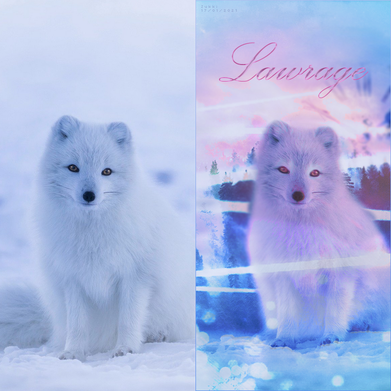 Pour Lawrage, par Zukki