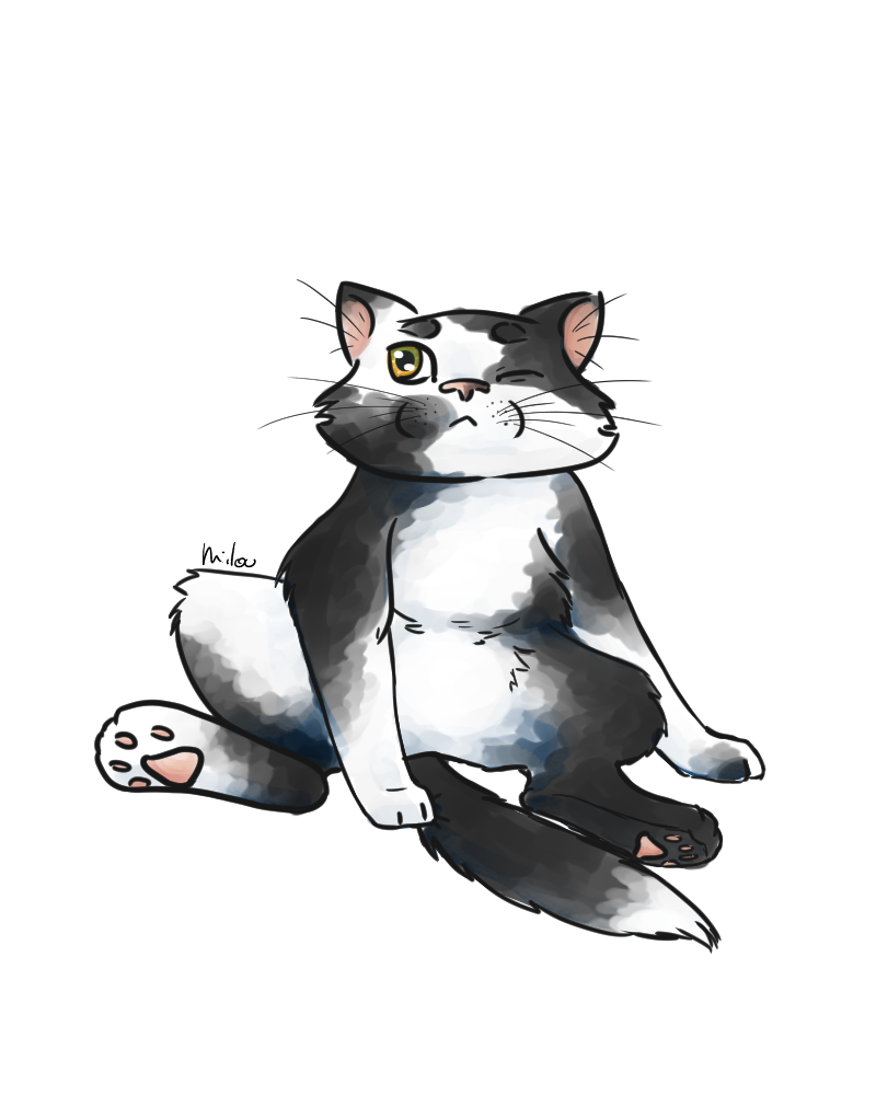 Chat pour Naütilus, par Milou