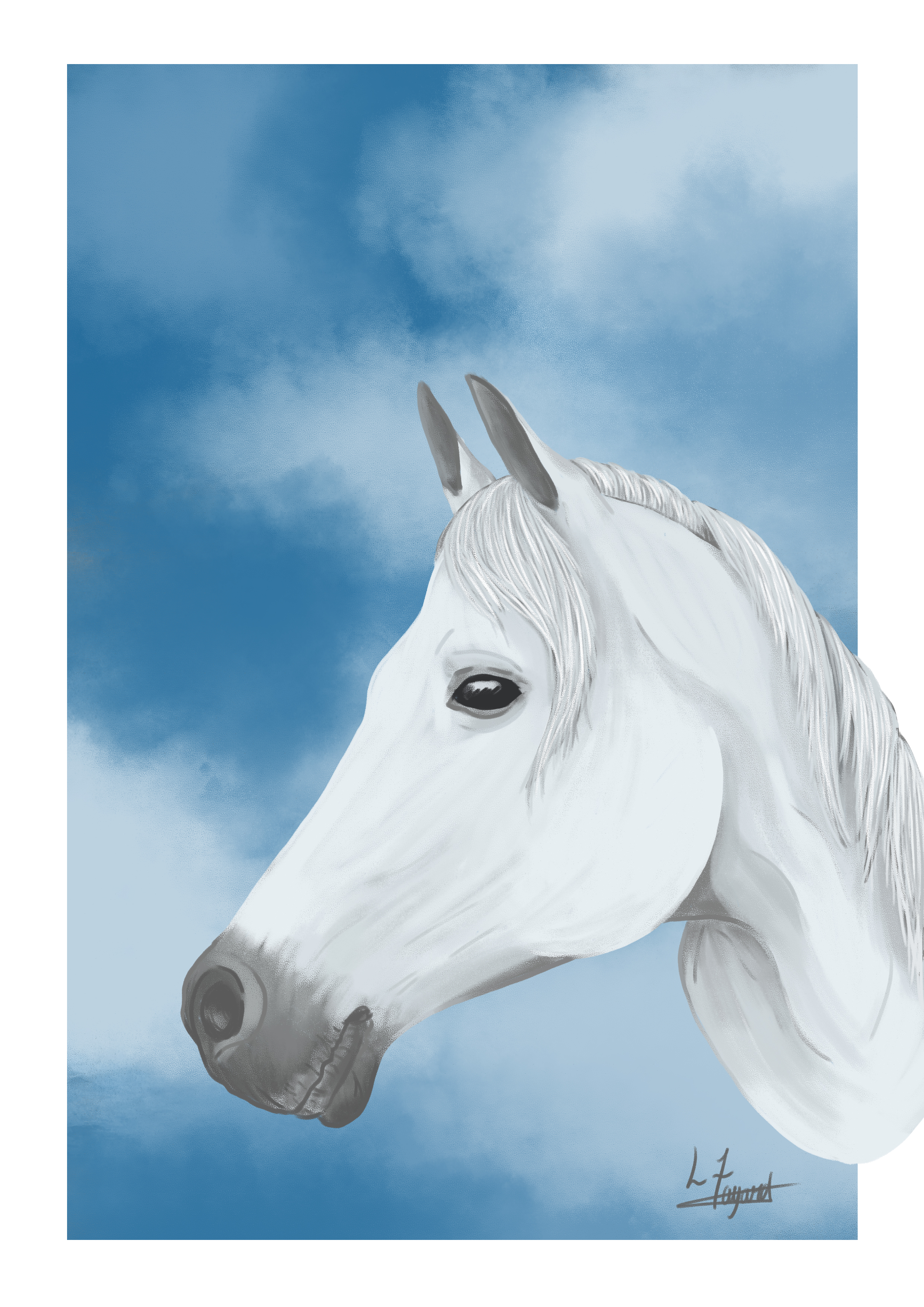 Cheval - Sosso, par Naütilus.