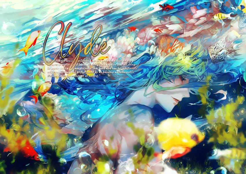 Pour 1AM [Noël], par Milou