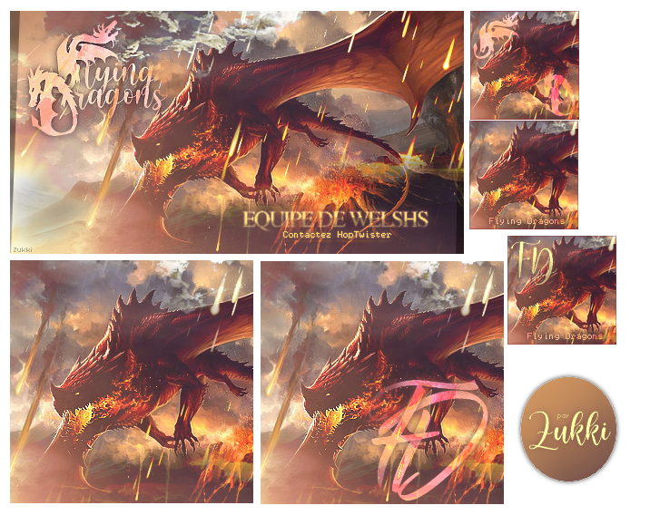 Flying Dragons - Commande, par Zukki