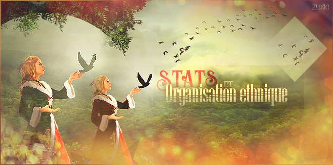 Commande - Stats et Organisation ethnique, par Zukki