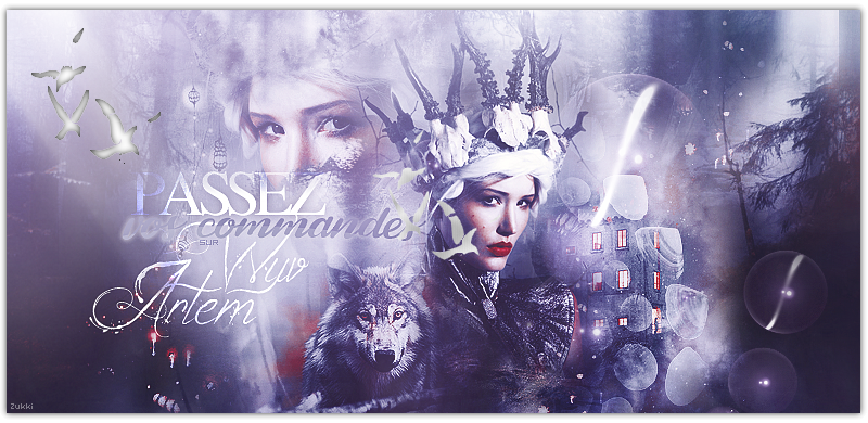 Rendu commande, par Zukki