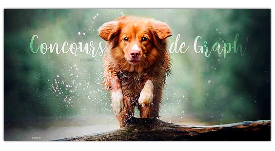 Bannière 564x309, par ebiko