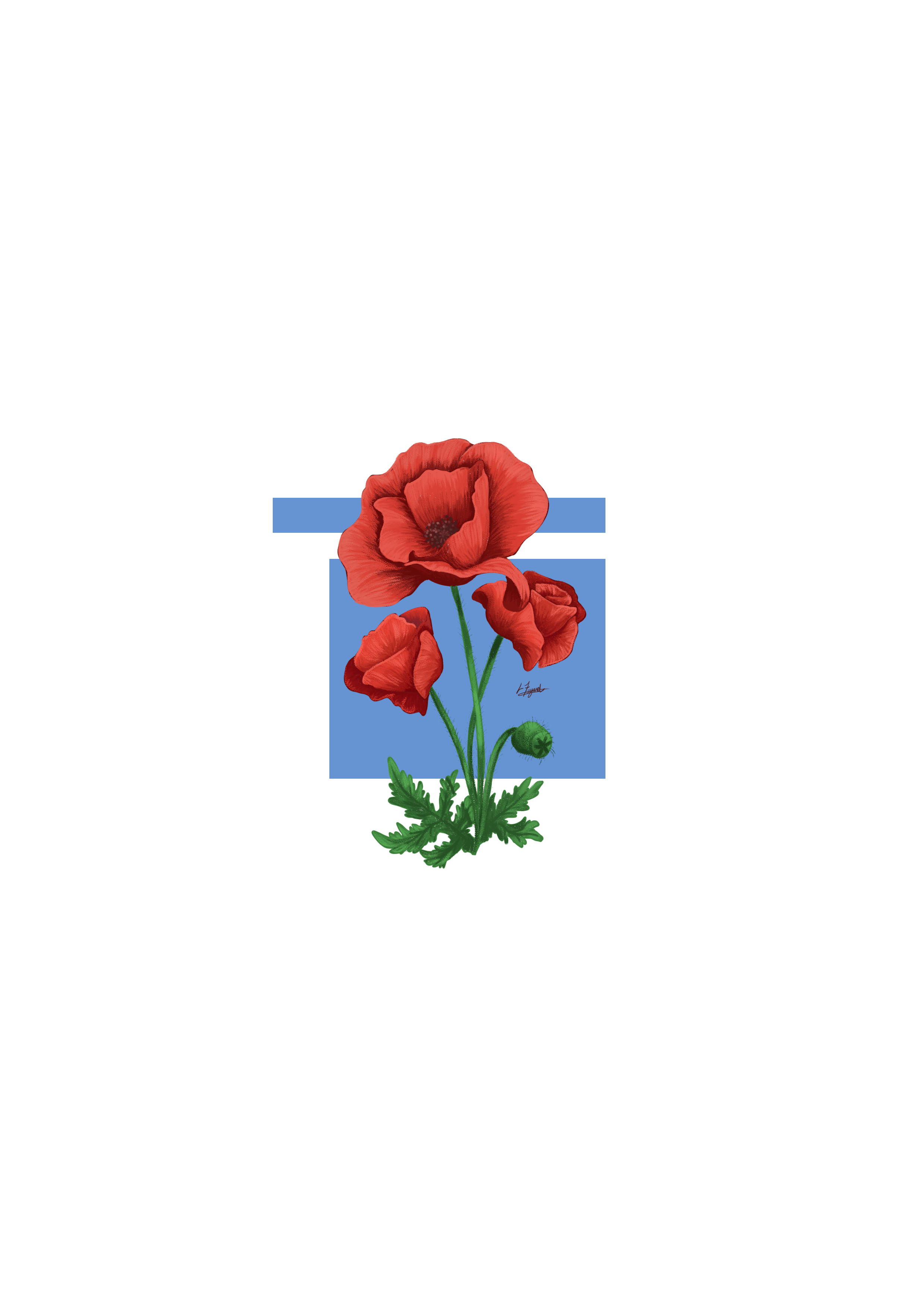 Coquelicot, par Naütilus.