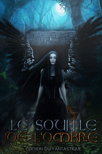 Cover de bouquin, par Fraisy Sarcasm