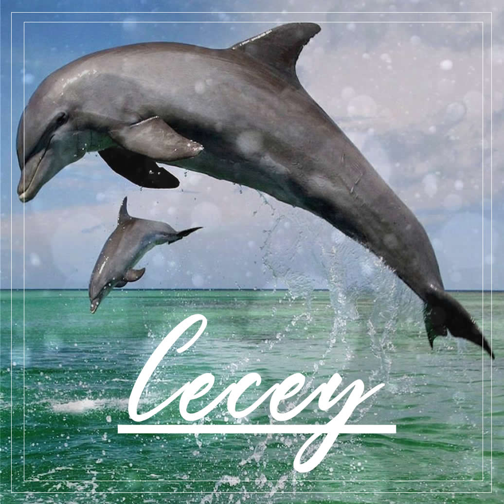 Magique, par Invoqueuse