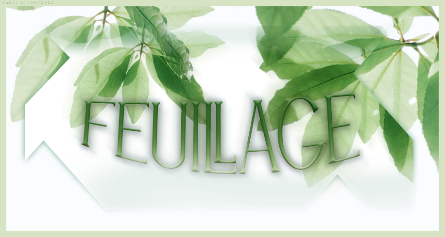 Feuillage, par Zukki