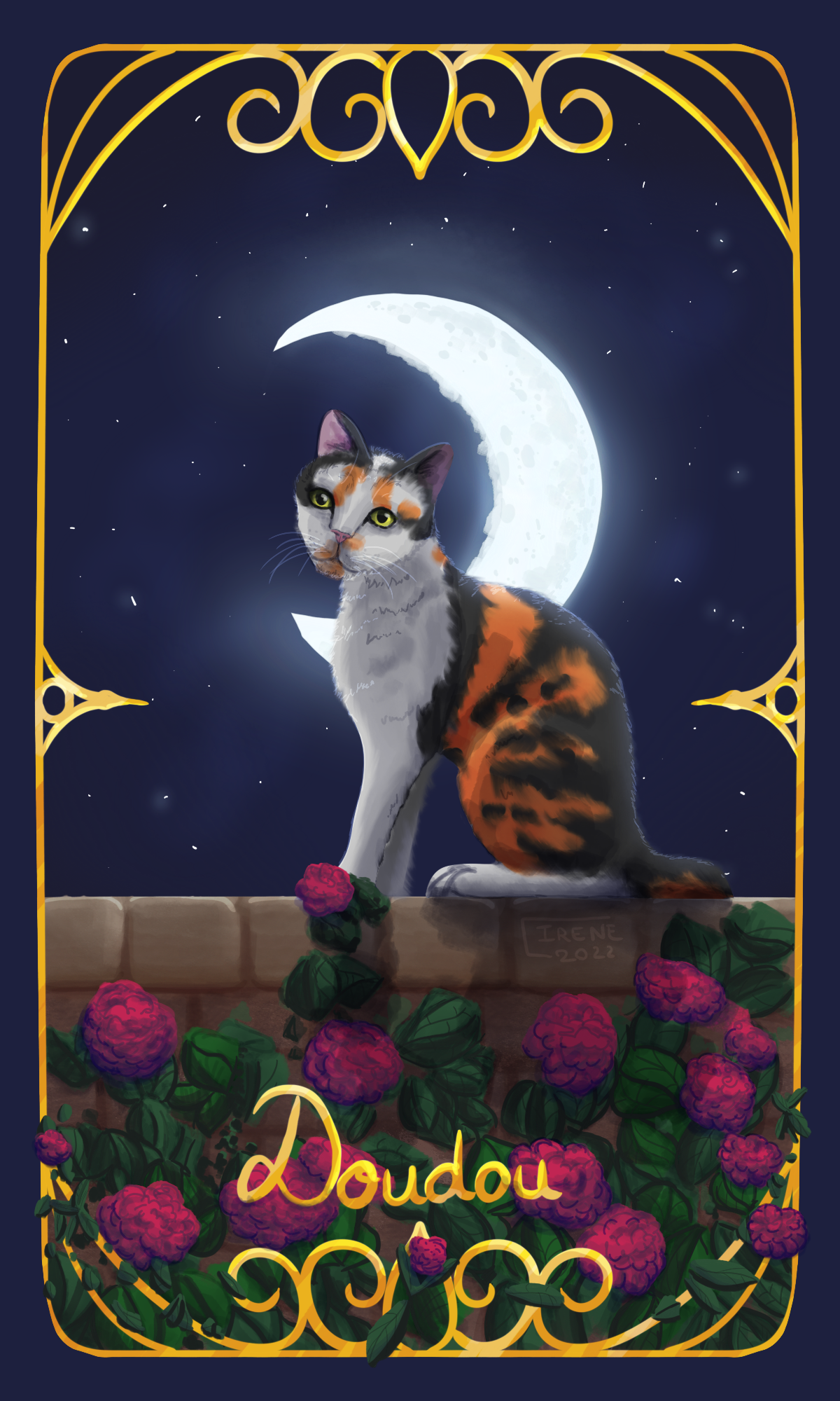 Portrait de chat, par Galad-El