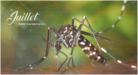 •| Attention au moustique !, par -Lost-