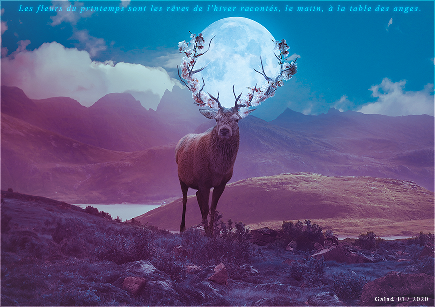 L'esprit du printemps, par Galad-El