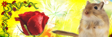 Signature rose et souris, par Pizi