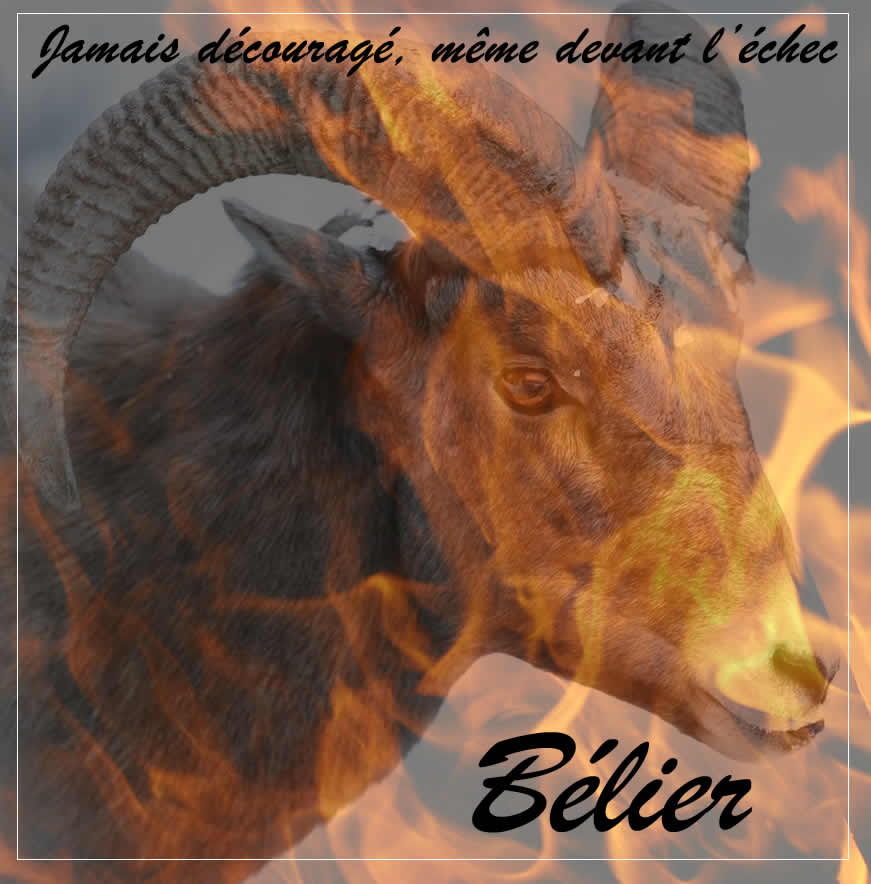 Bélier, par Invoqueuse