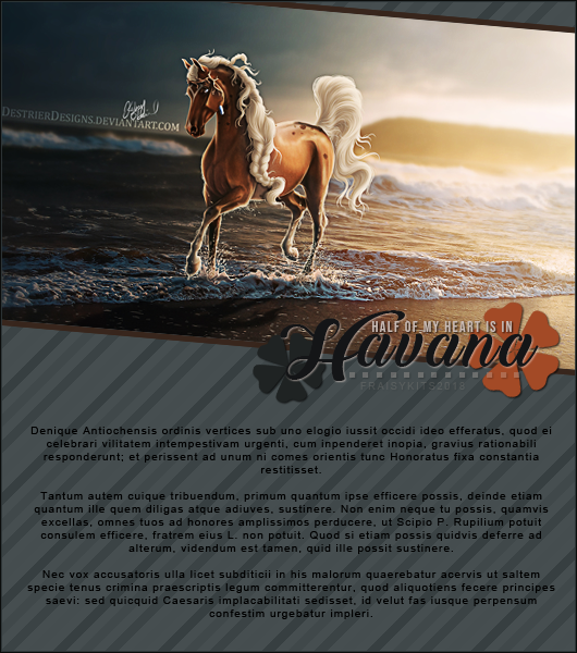 Fiche Havana, par Fraisy Sarcasm