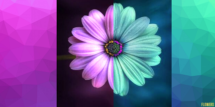 Double'Flowers -Purple&Blue-, par Flowers