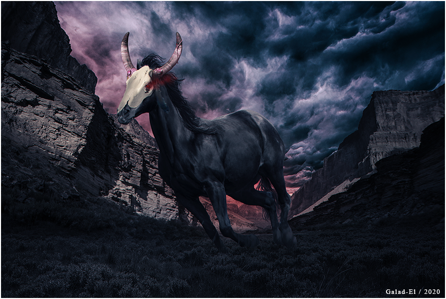 Follow Me, par Galad-El