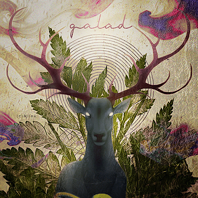 Avatar Galad [commande], par Milou