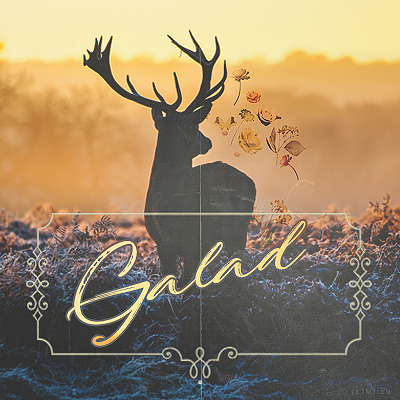 Noël Galad, par Milou