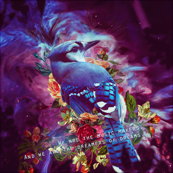 Geai Bleu, par Galad-El