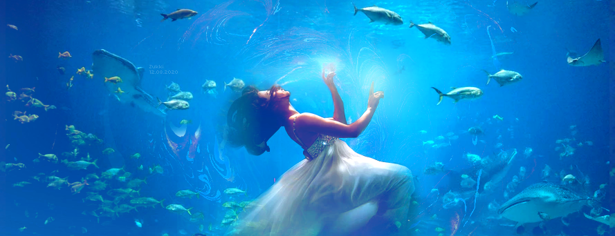 Les mots de l'océan, par Zukki