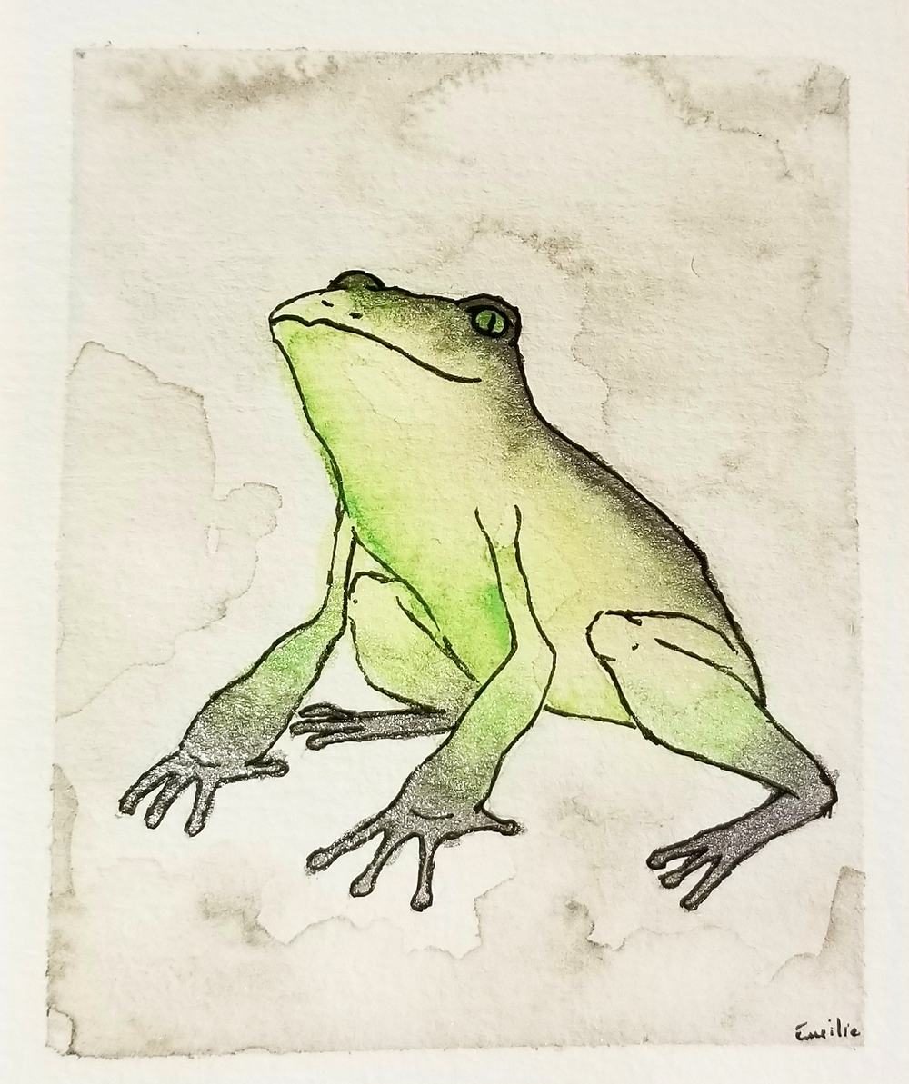 Grenouille argentée, par Milou