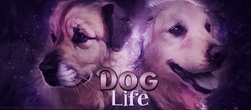 Dog Life • Design bientôt LS, par Fraisy Sarcasm