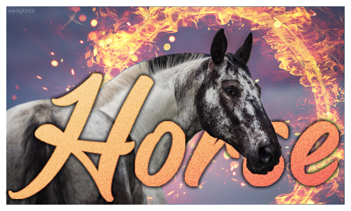 Appaloosa, par emily1303