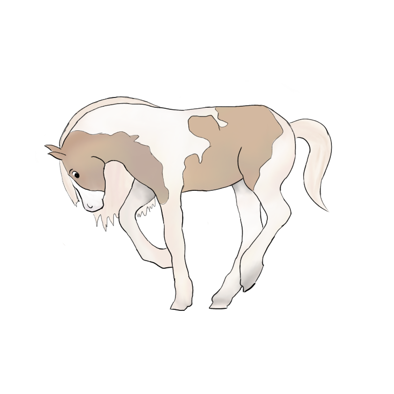 Dessin Digital cheval, par Ollash