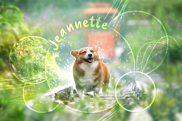 Cadeau jeannette, par Plume`