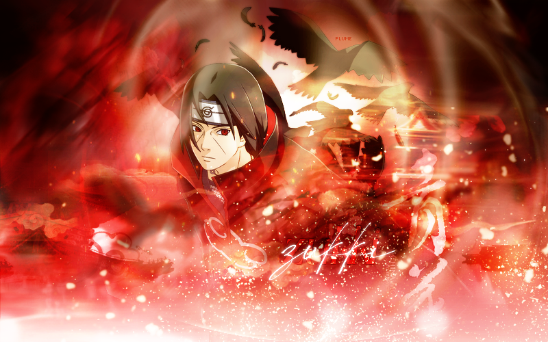 Cadeau Zukki, par Plume`