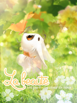 beauté, par Nekkomi