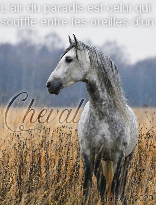 La libertée, par Galaxyo