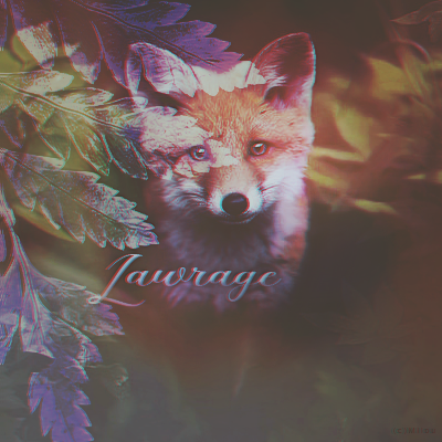 Noël Lawrage, par Milou